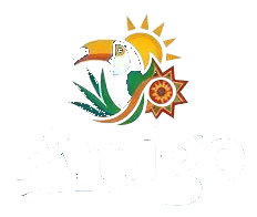 Amigo